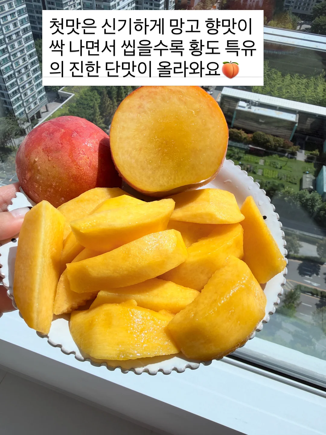 니트 가디건 5