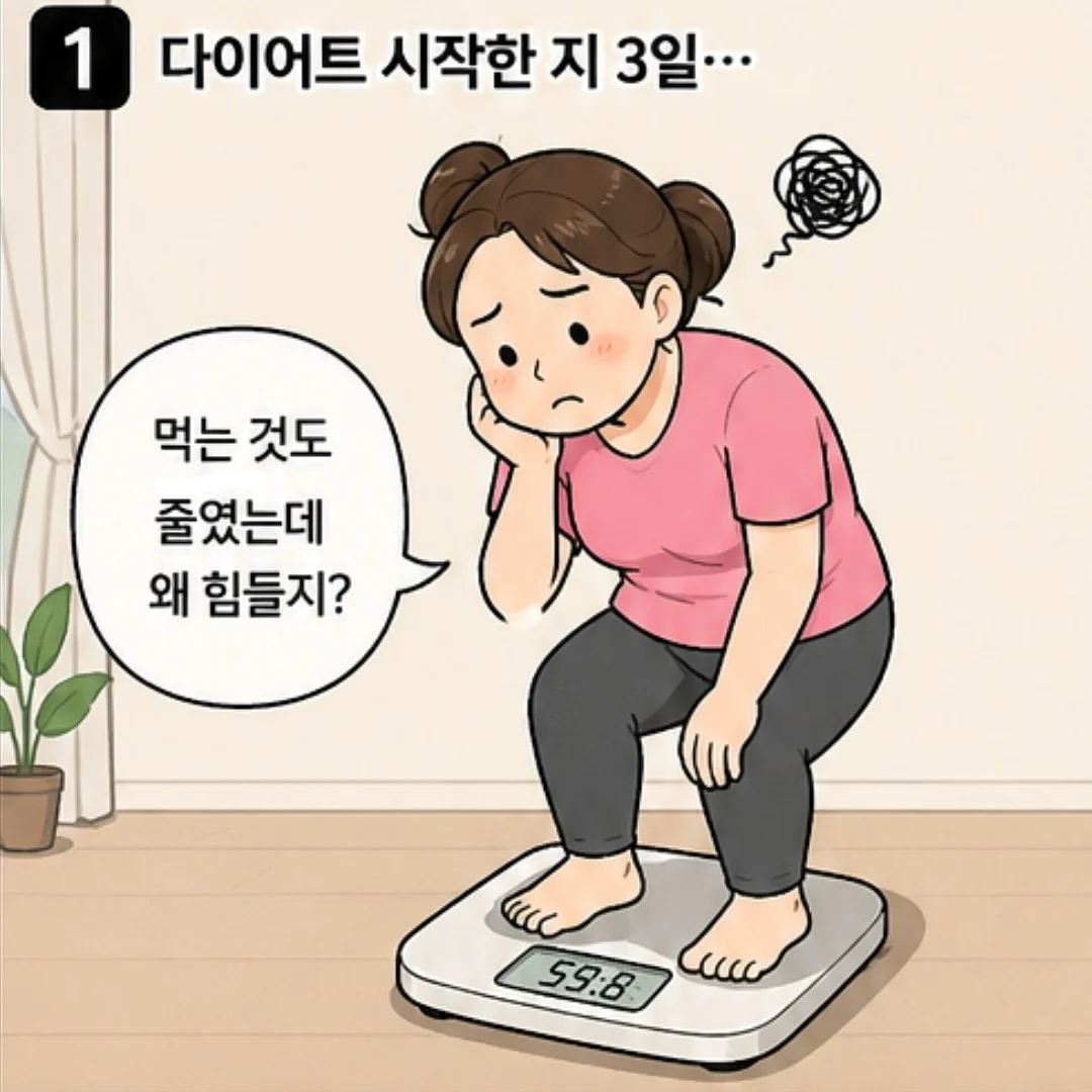 아꽁뜨 피낭시에 선물세트 1