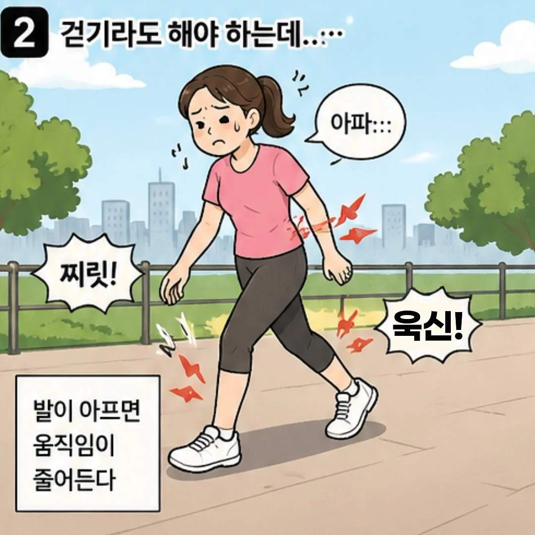 아꽁뜨 피낭시에 선물세트 2