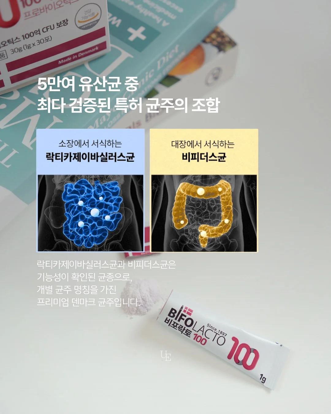 사브르 커트러리 세트 6