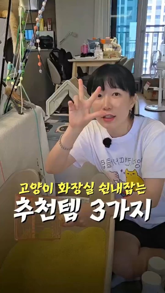 프랭클리 슬리퍼
