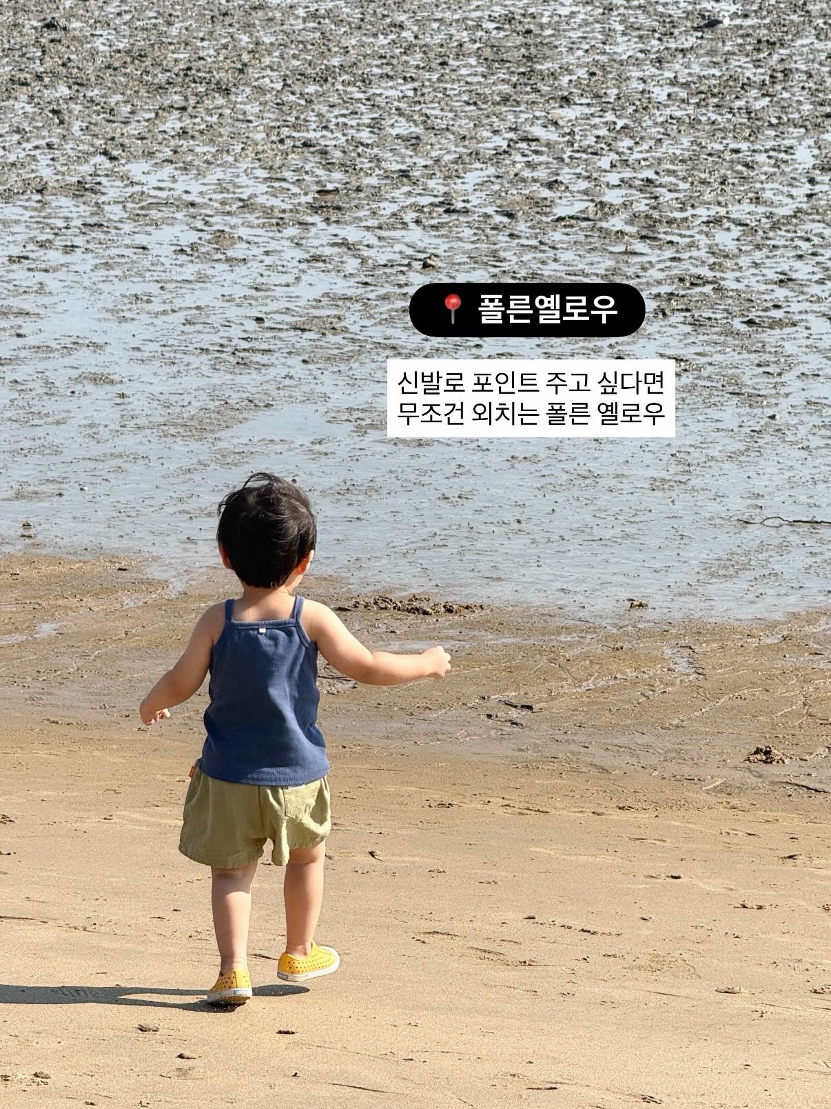 아담한가1호 3
