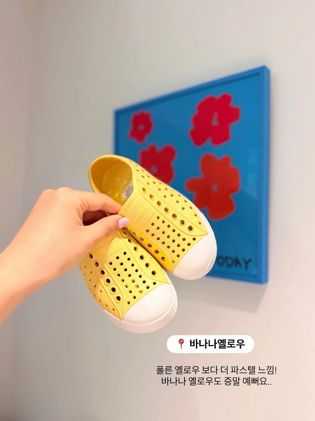 아담한가1호 6