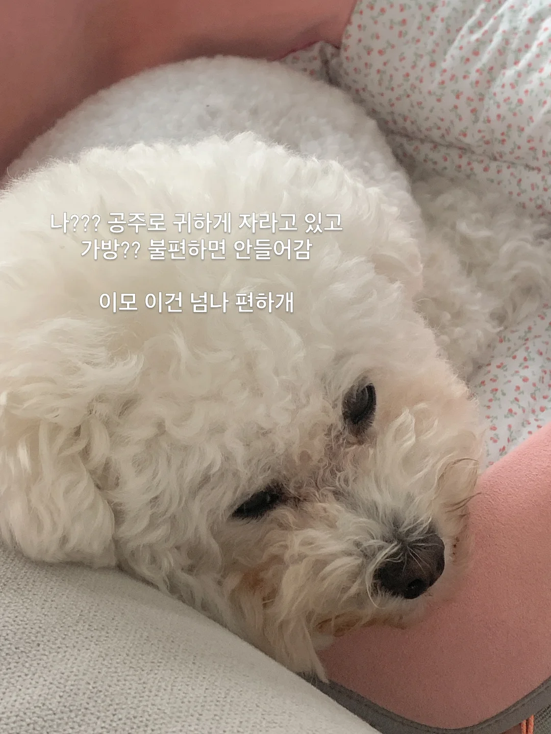 피아노 테이블 5