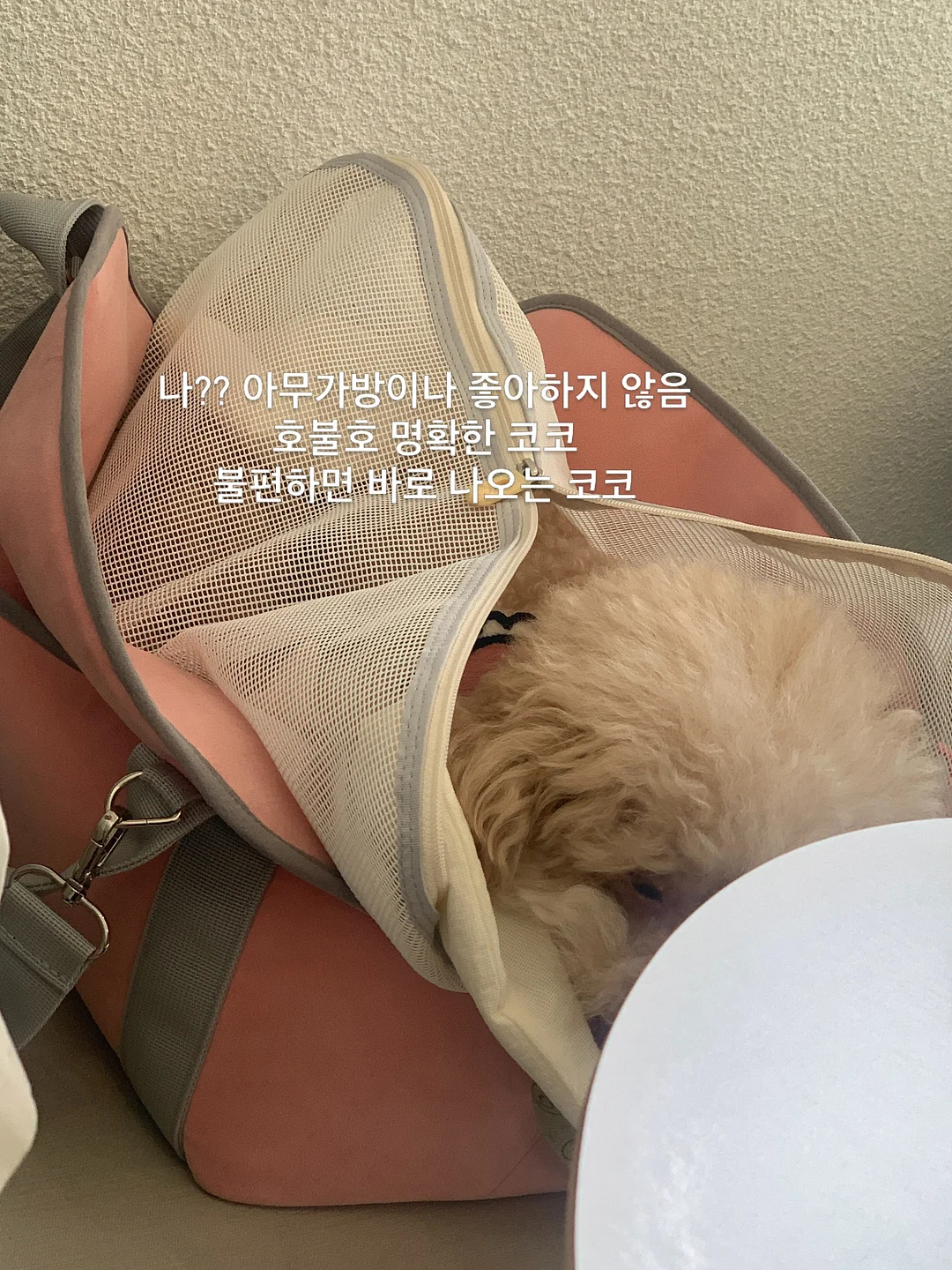 피아노 테이블 6