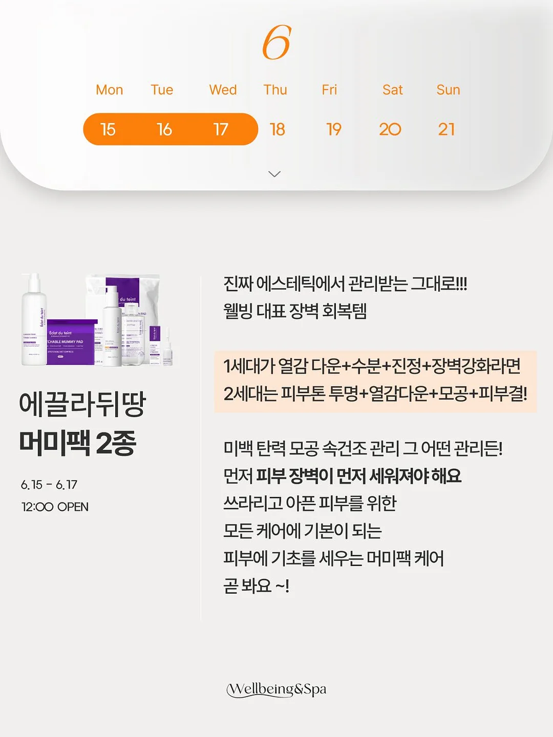 carry my world 가방 6