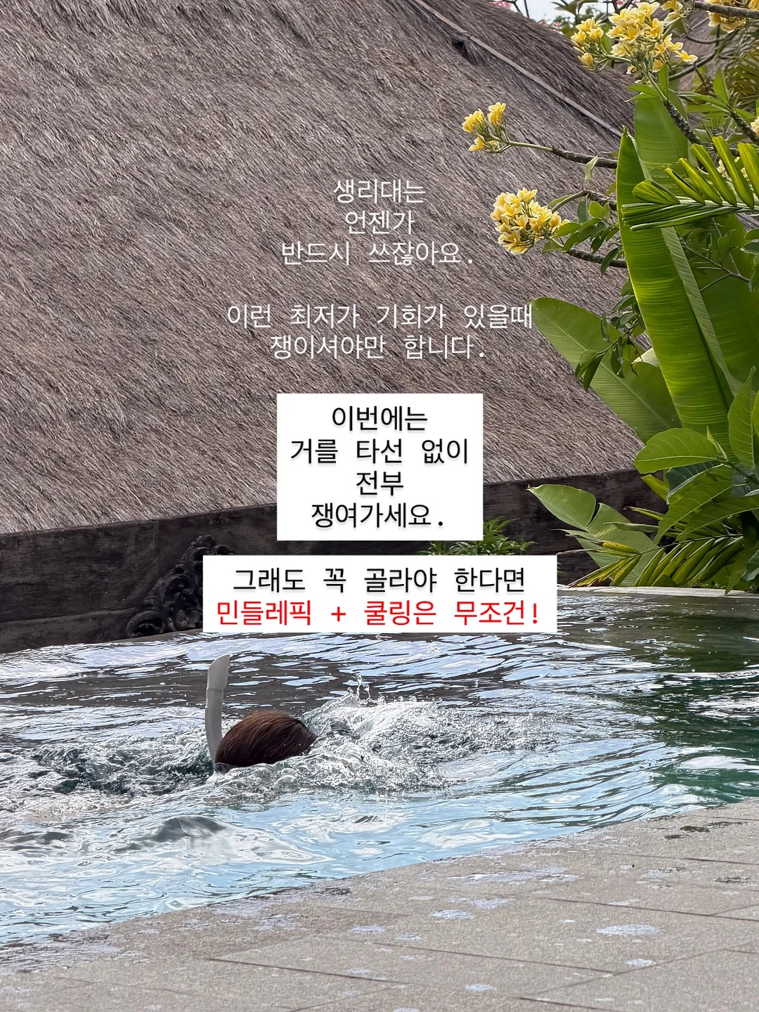 베리블루스타갤럭시 2