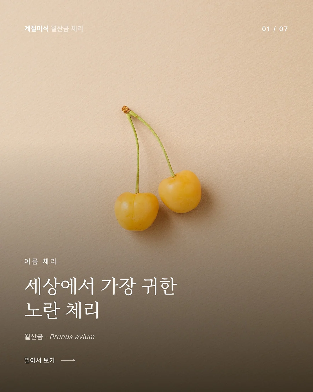 광채 하이라이터 1
