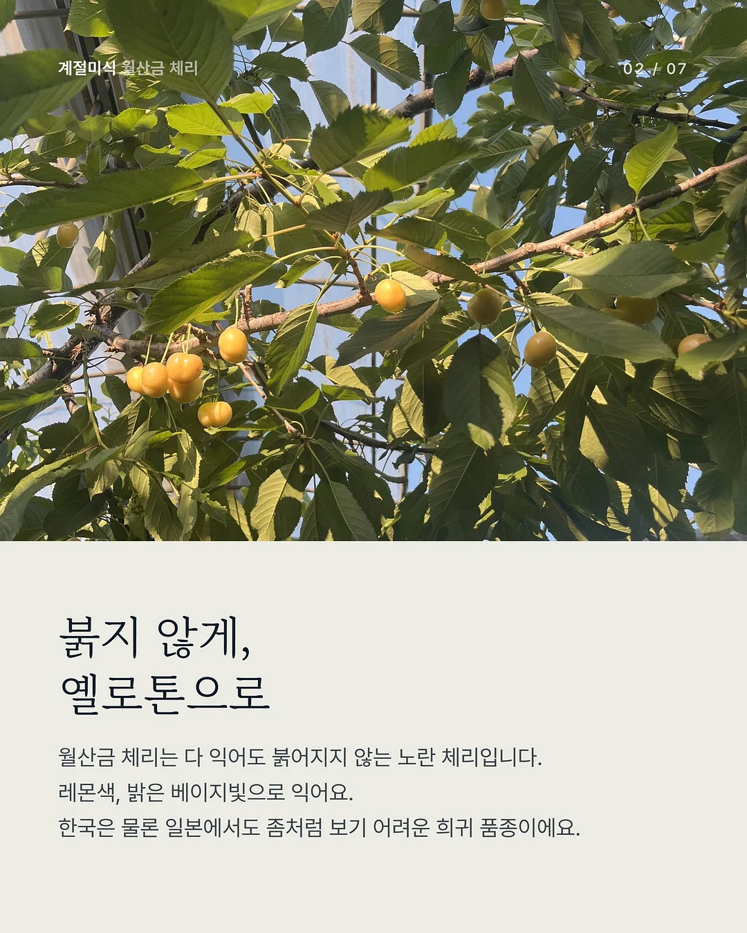 광채 하이라이터 2