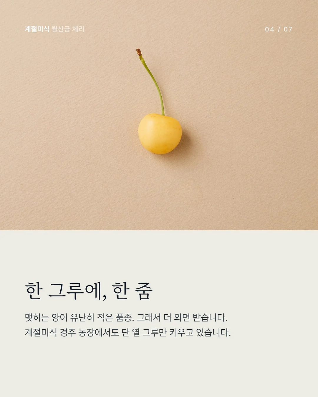 광채 하이라이터 4