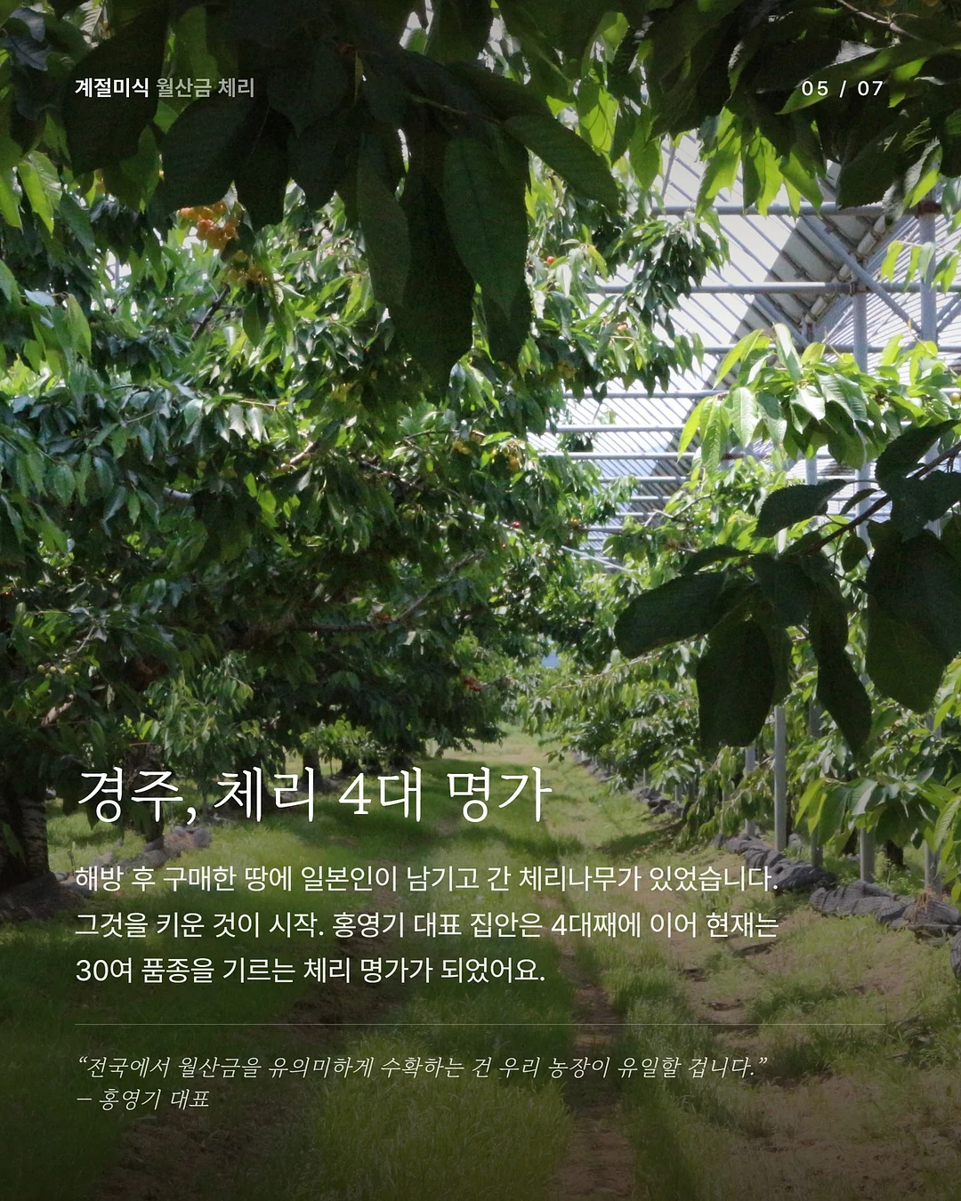 광채 하이라이터 5