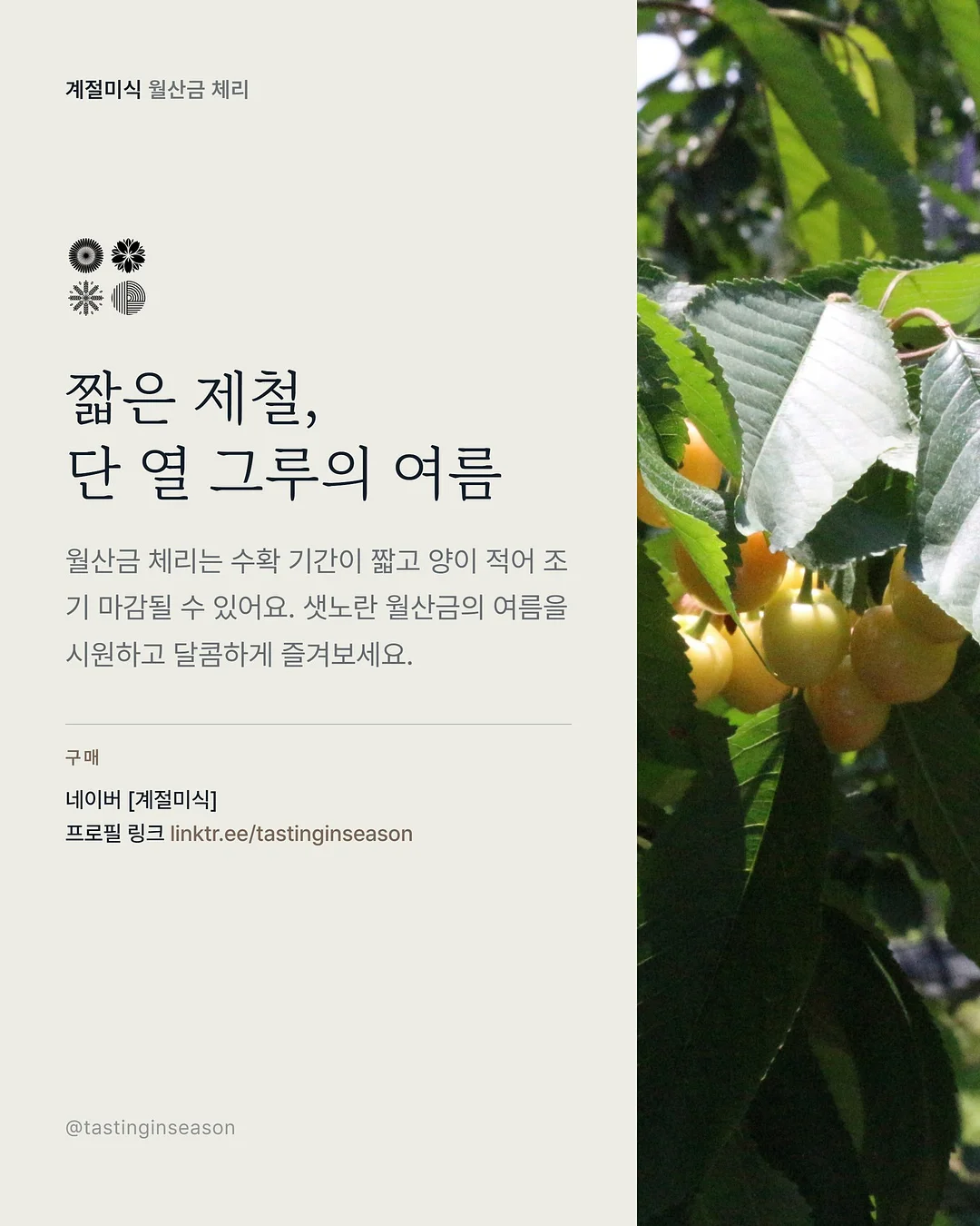 광채 하이라이터 7