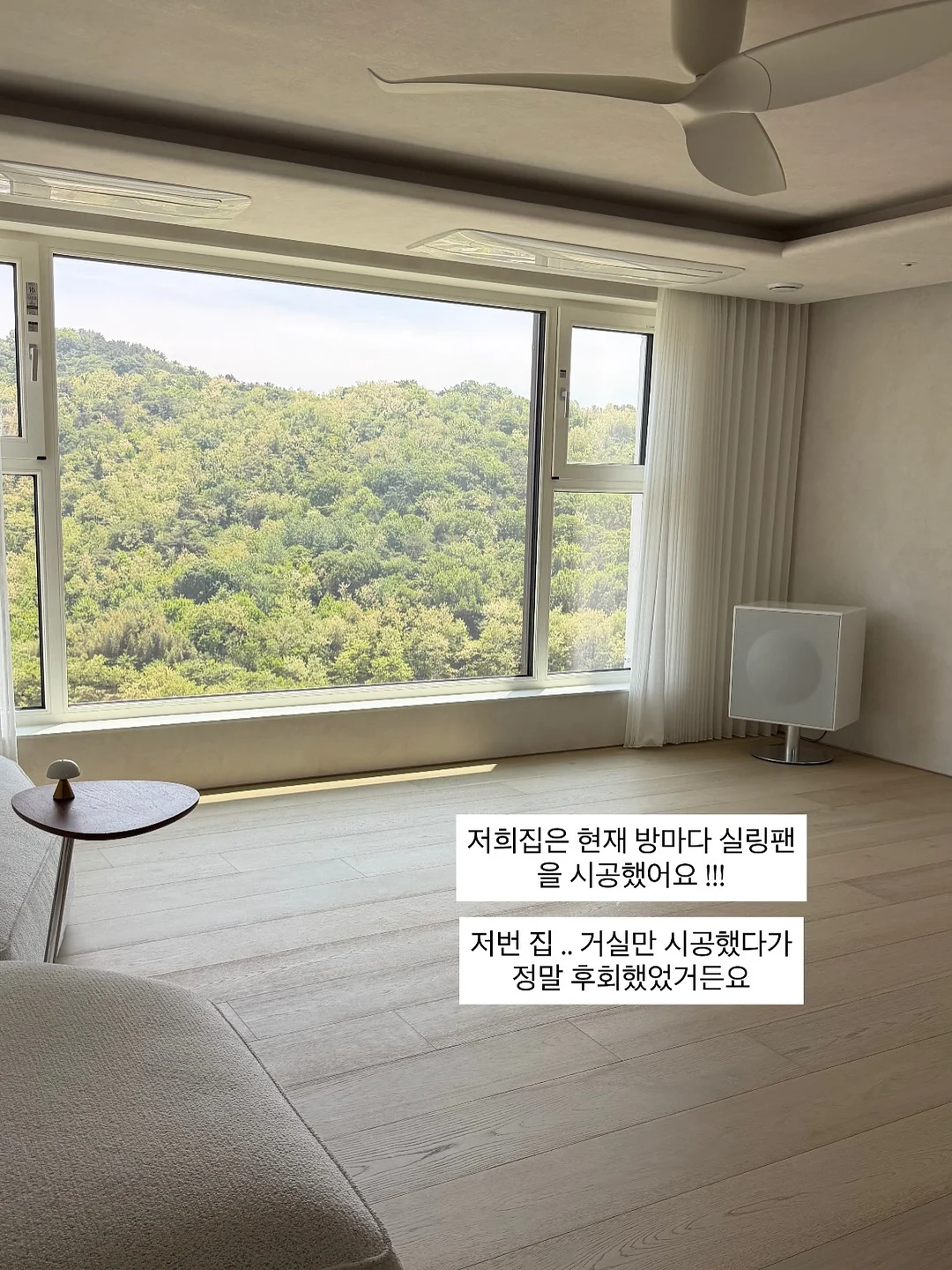 곰보배추시럽 2