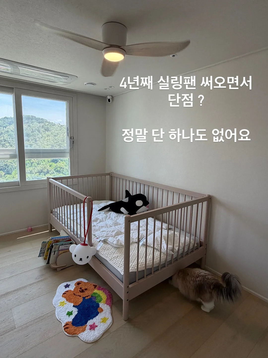 곰보배추시럽 3