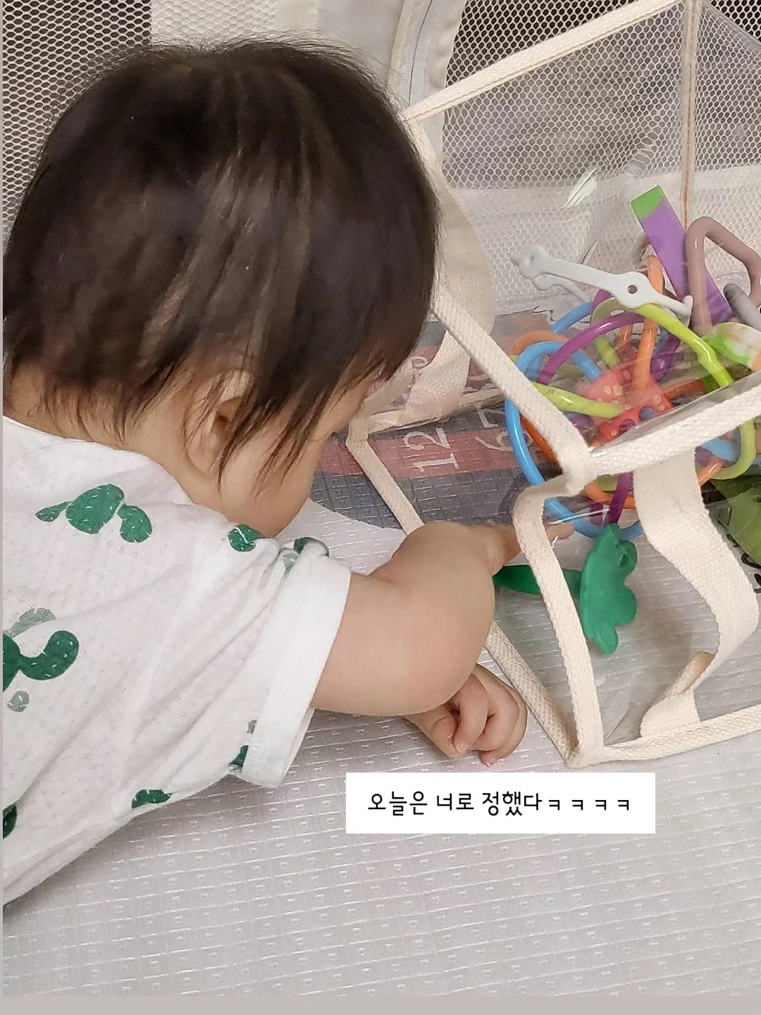 여권 사진 6