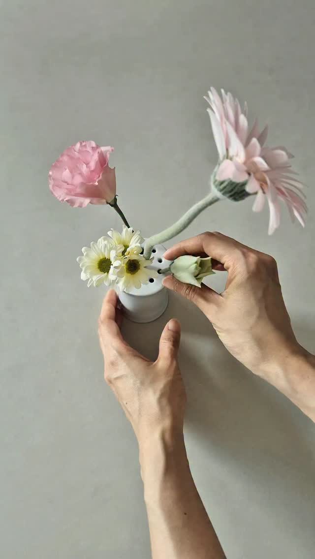 다쿠아즈