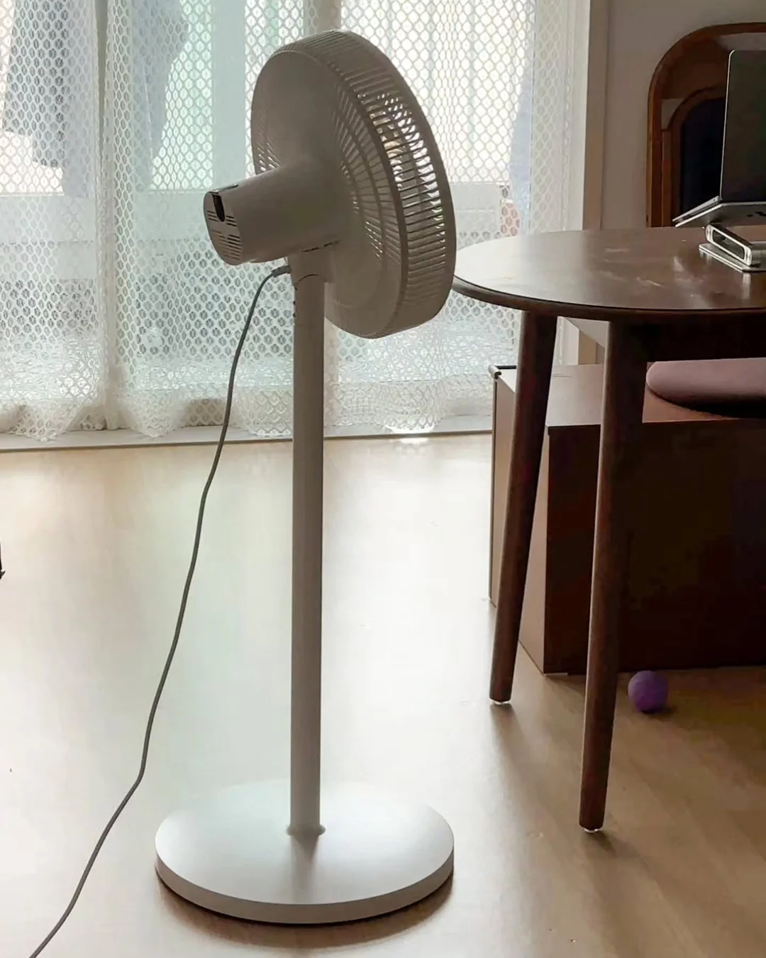픽업카페 제주애월점 소금빵 5