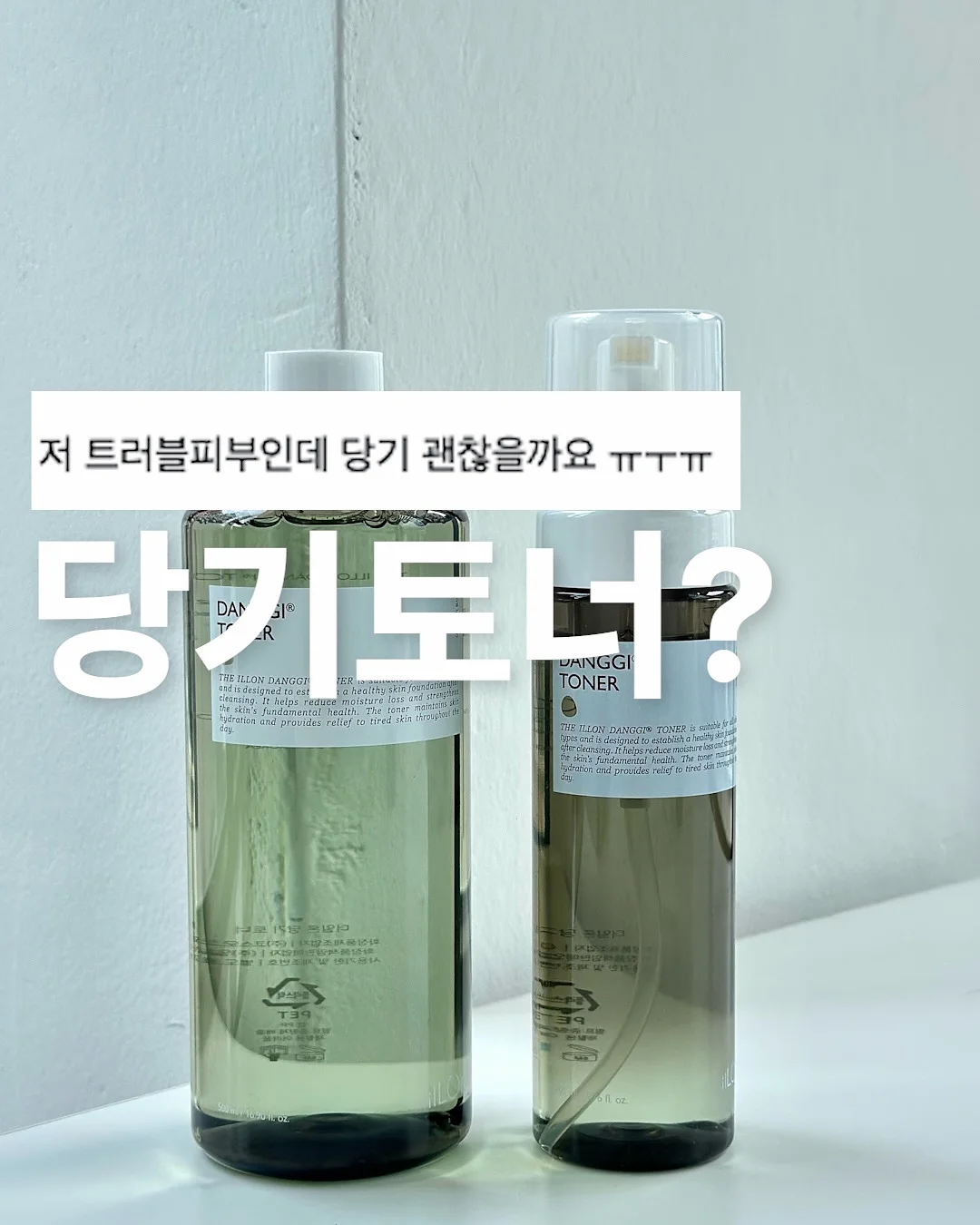 하트 모양 다육이 1