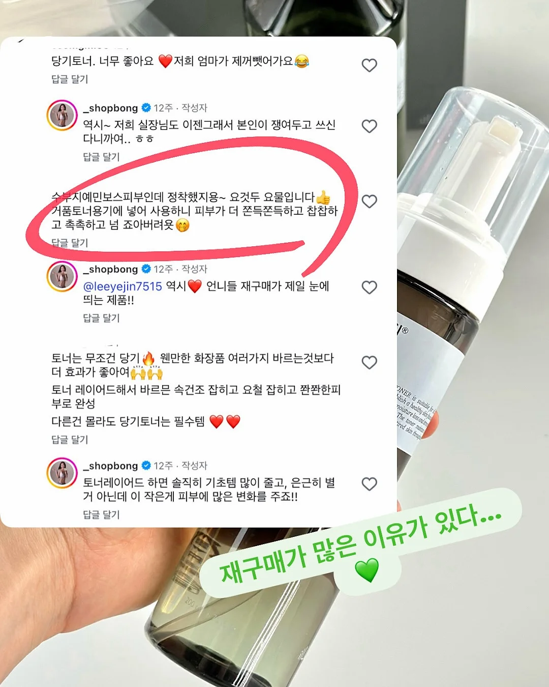 하트 모양 다육이 11