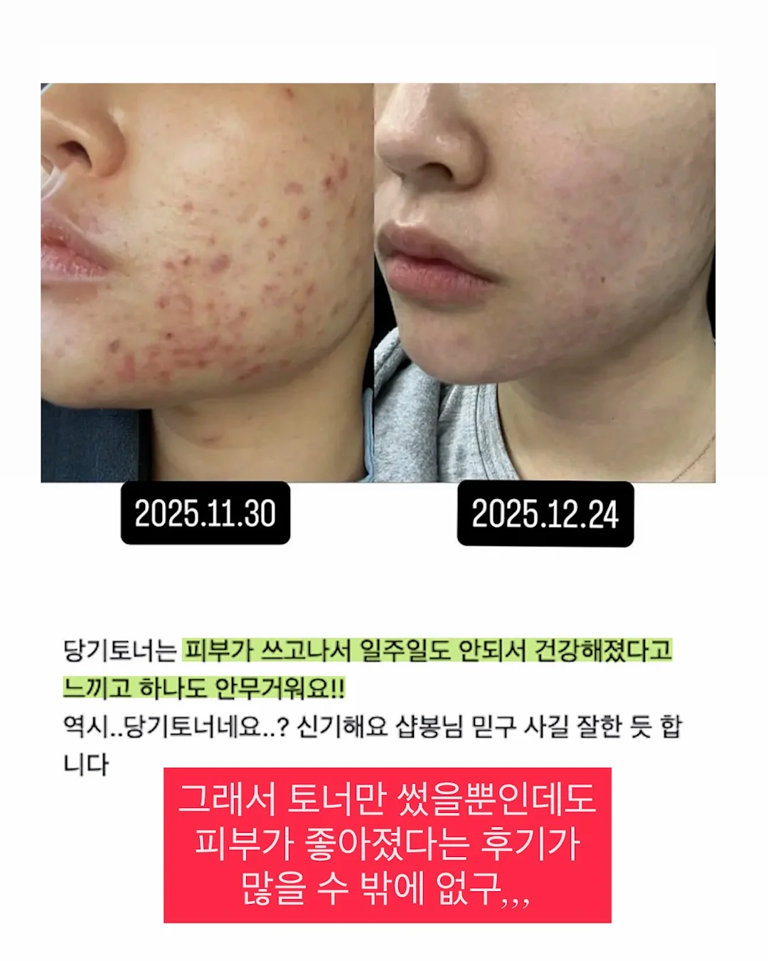 하트 모양 다육이 7