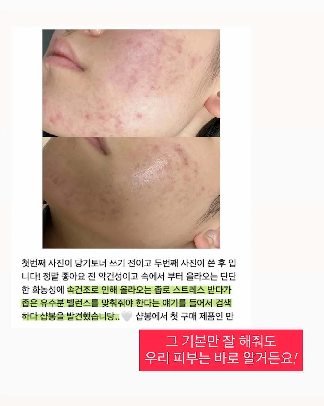 하트 모양 다육이 8
