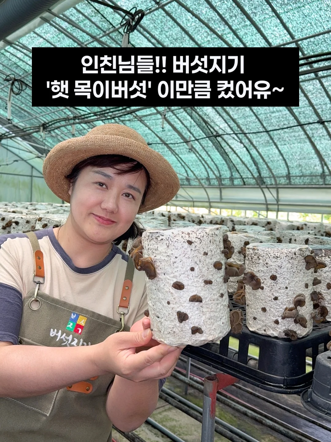 방수 카시트 1