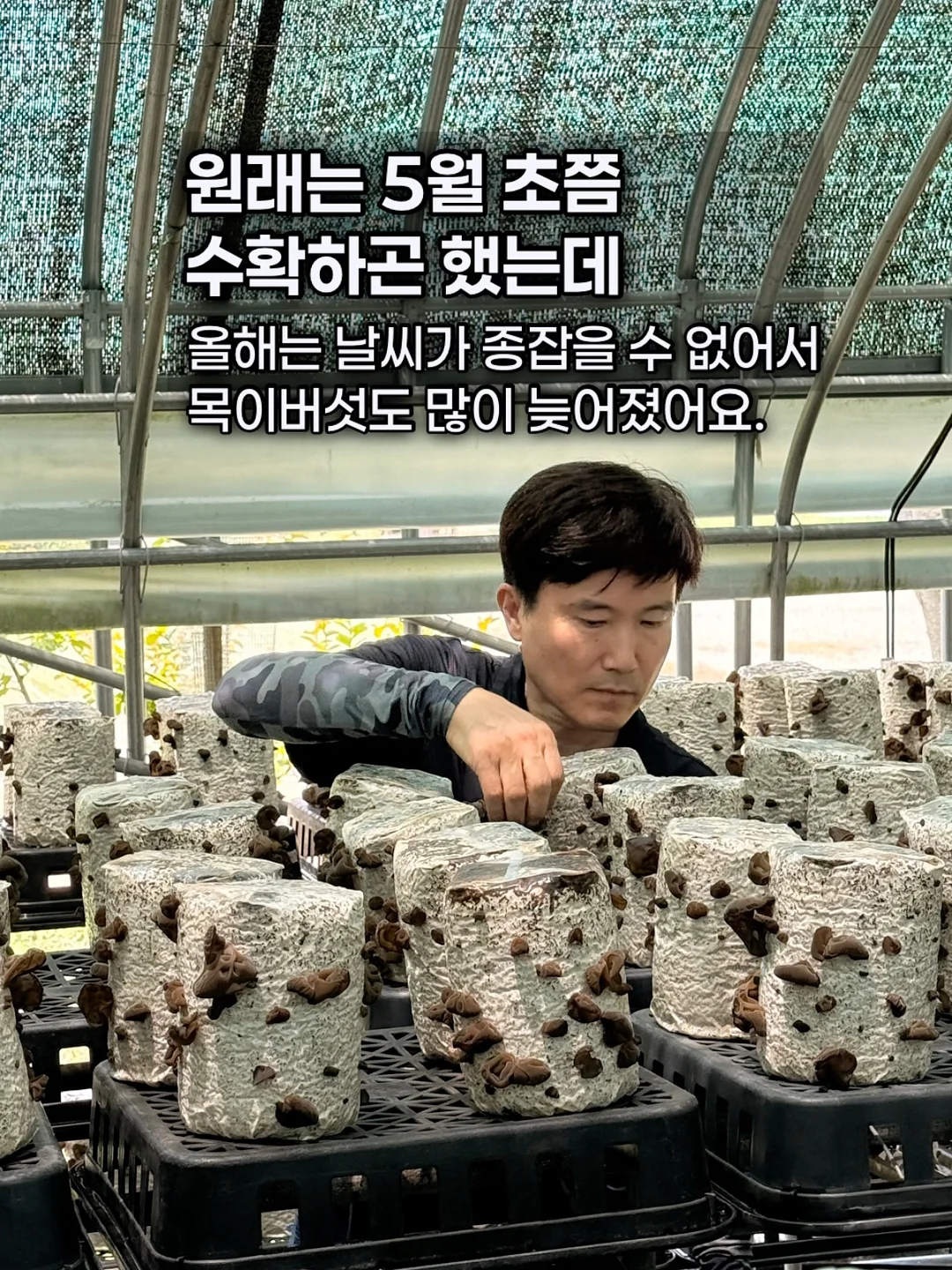 방수 카시트 3