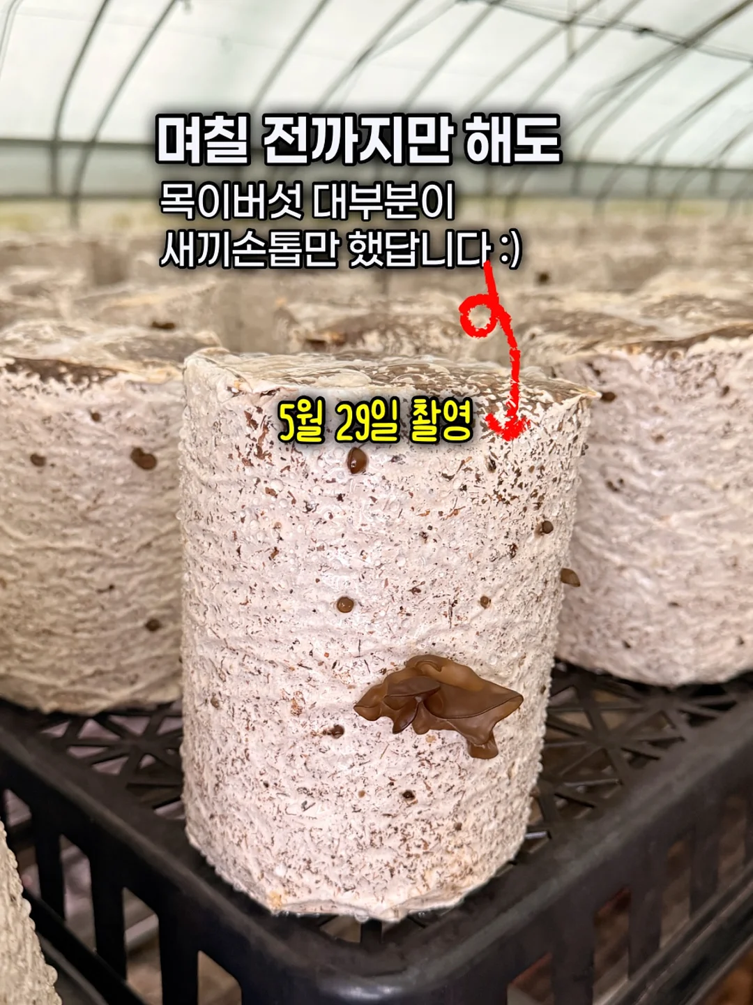 방수 카시트 4
