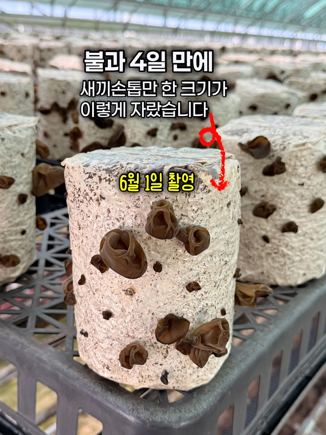 방수 카시트 5