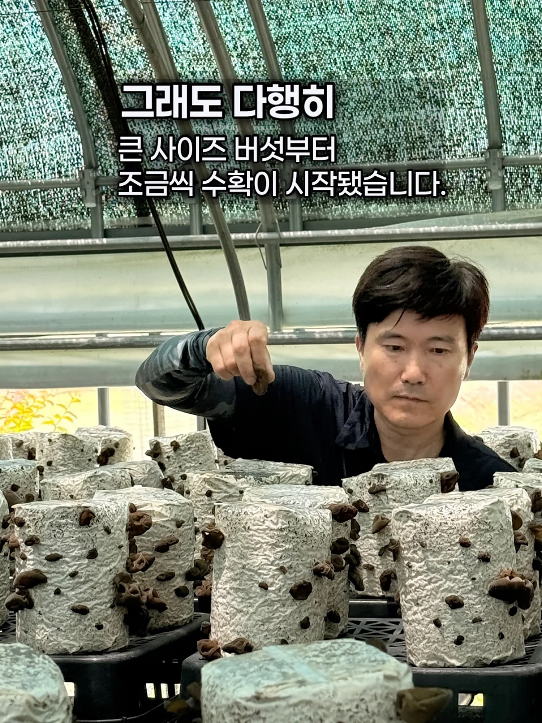 방수 카시트 6