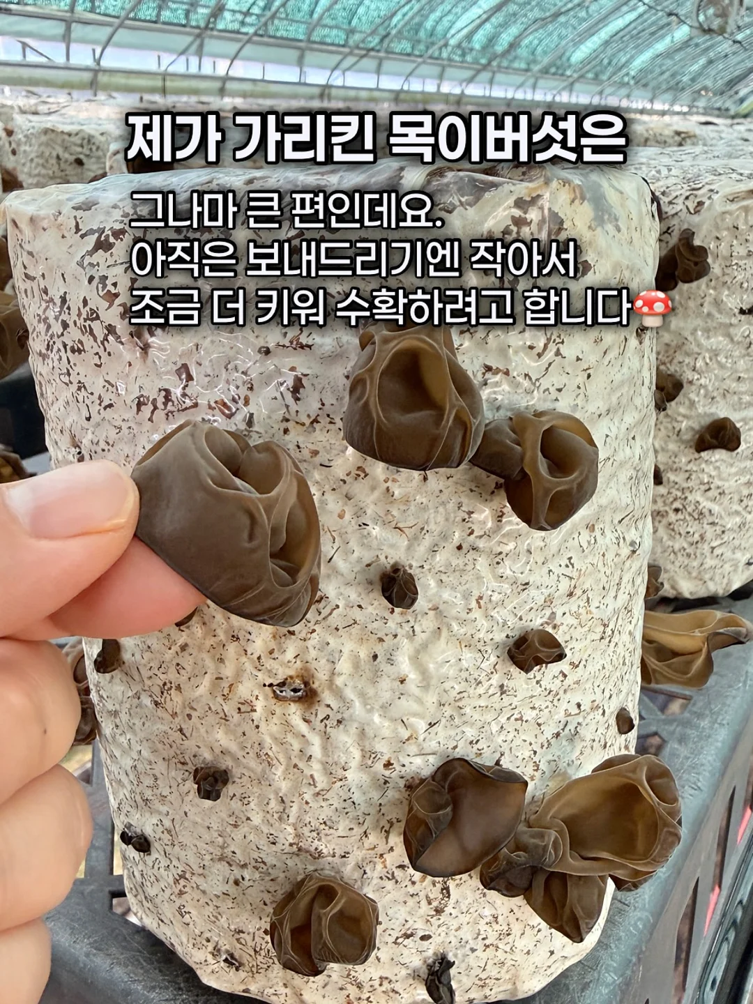 방수 카시트 7