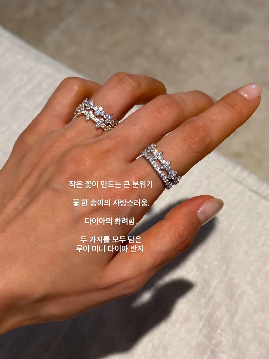 For Gerbera 꽃병 6