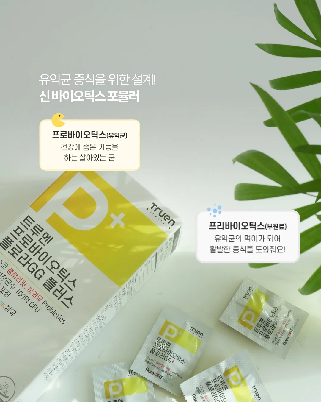 사무실 공간 쉐어 멤버 7