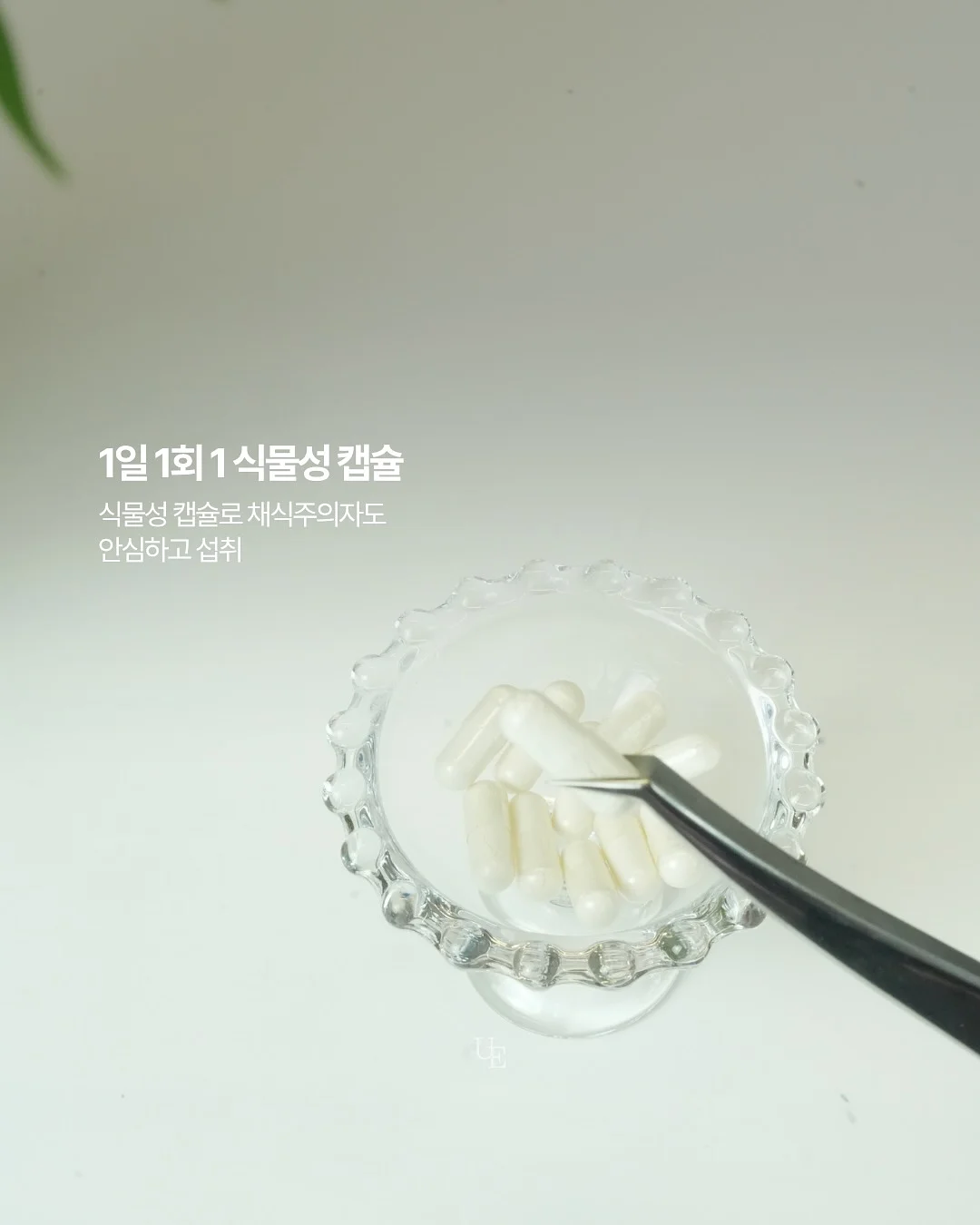 사무실 공간 쉐어 멤버 8