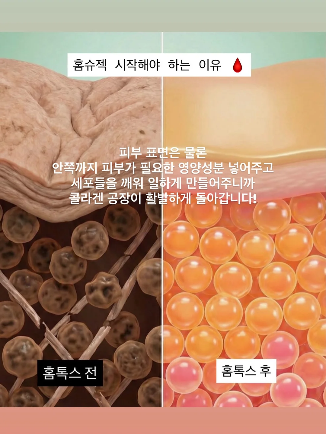 수채화 꽃밭 케이크 6
