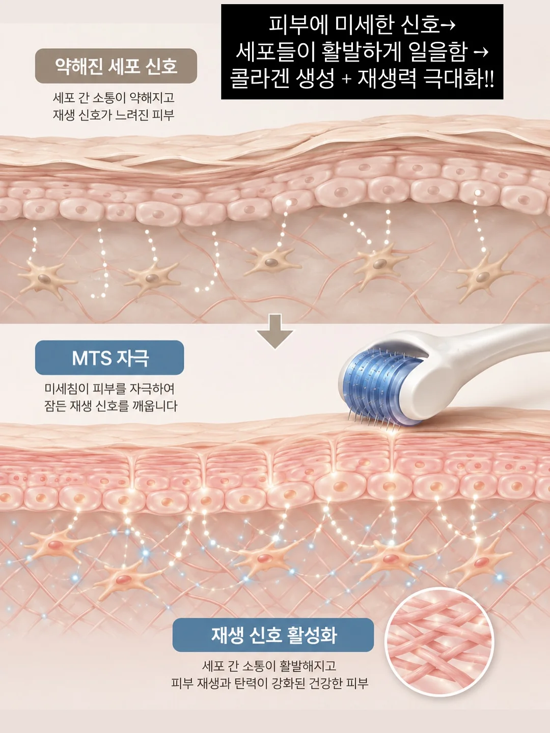 수채화 꽃밭 케이크 7