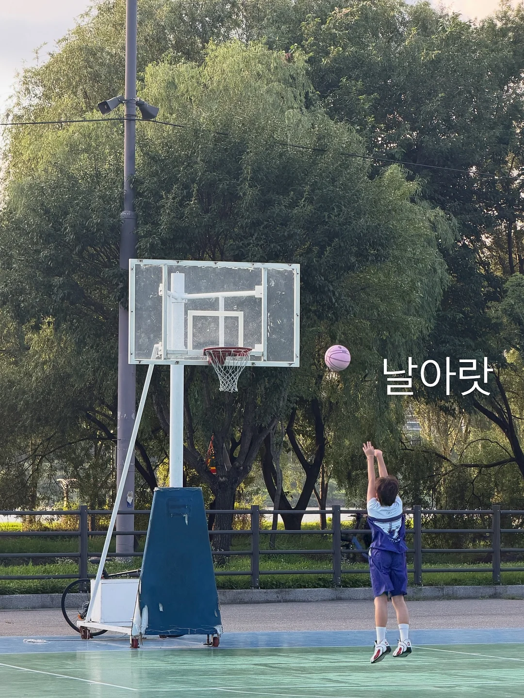 자라 세일 2