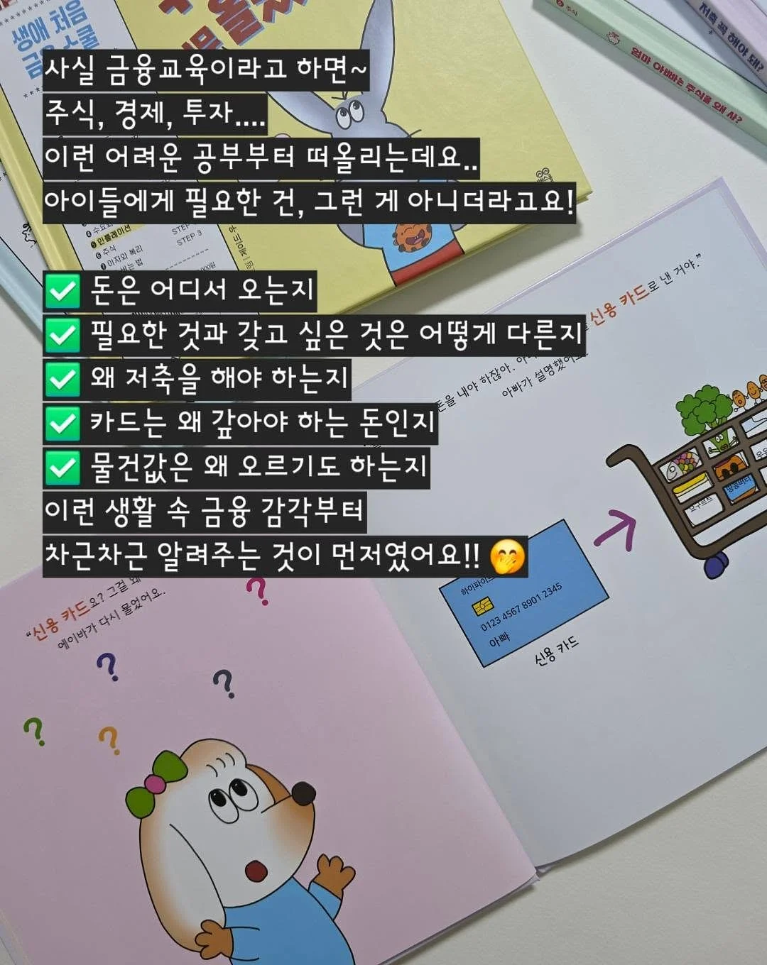 농축 쯔유 7
