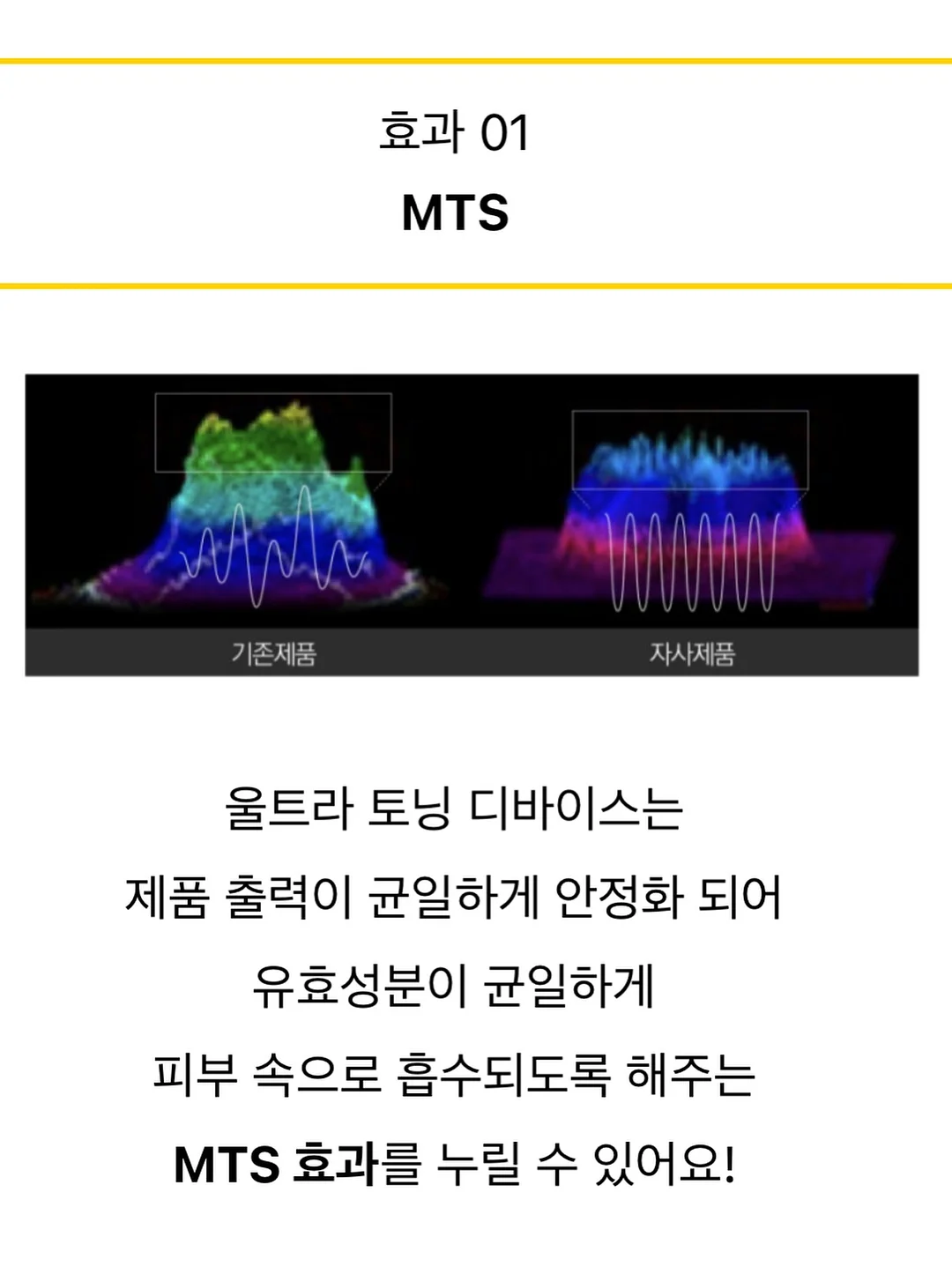 앙금플라워 생화 믹스디자인 케이크 6