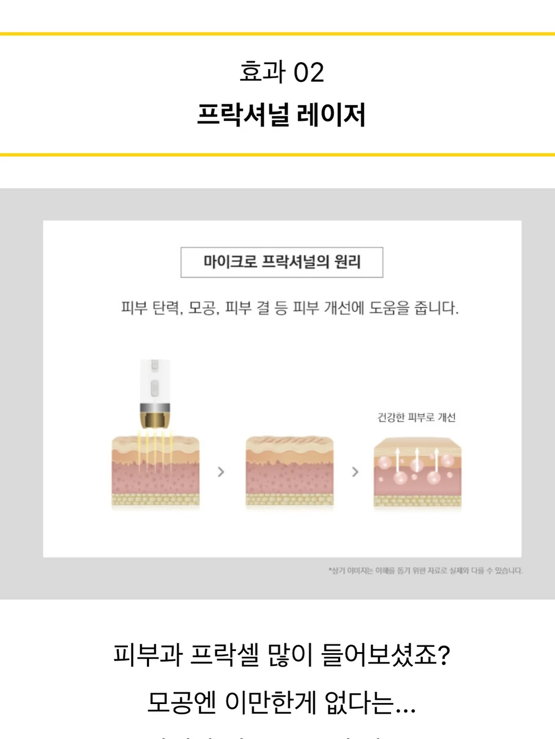 앙금플라워 생화 믹스디자인 케이크 7