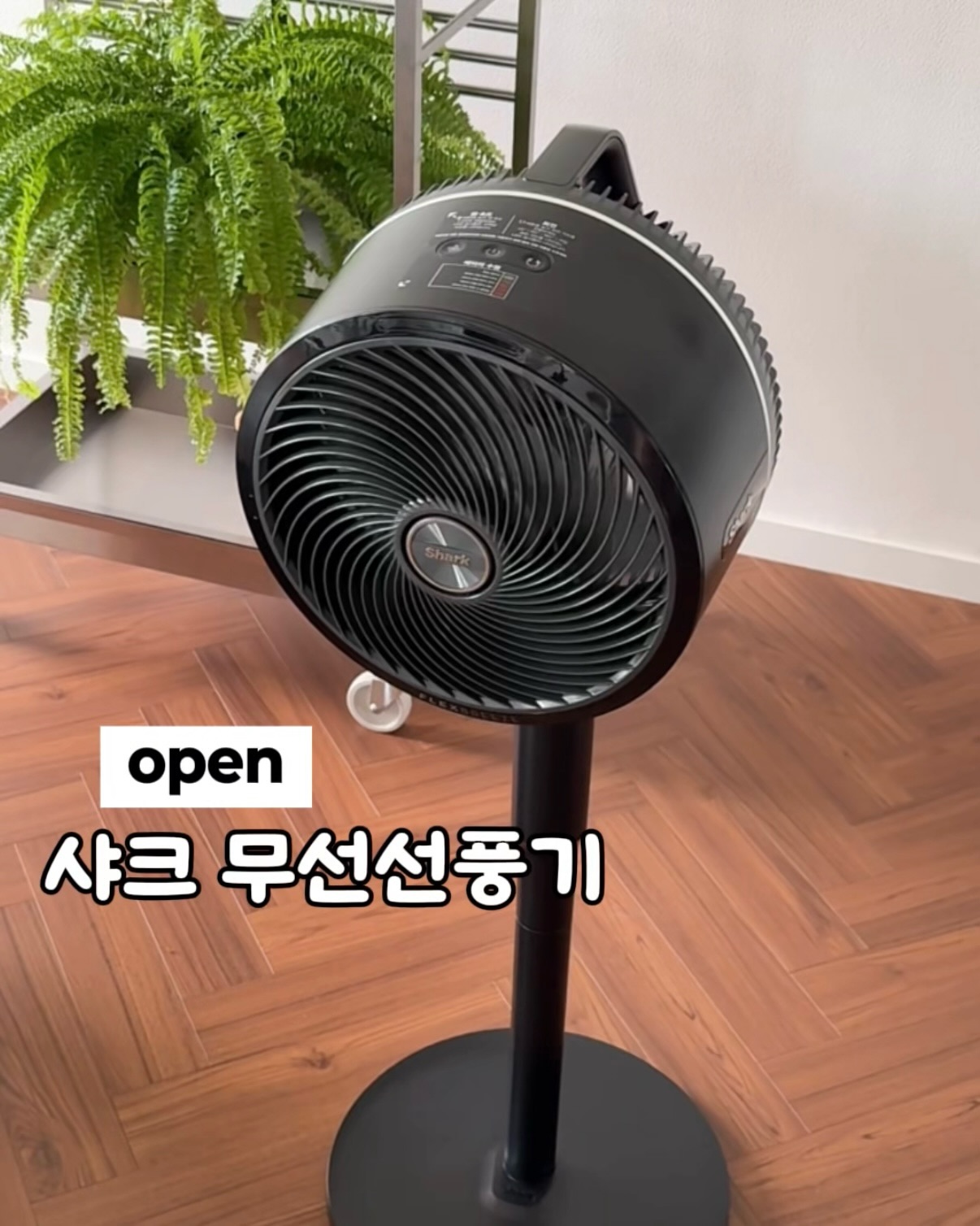 신기능 검사 RFT 1