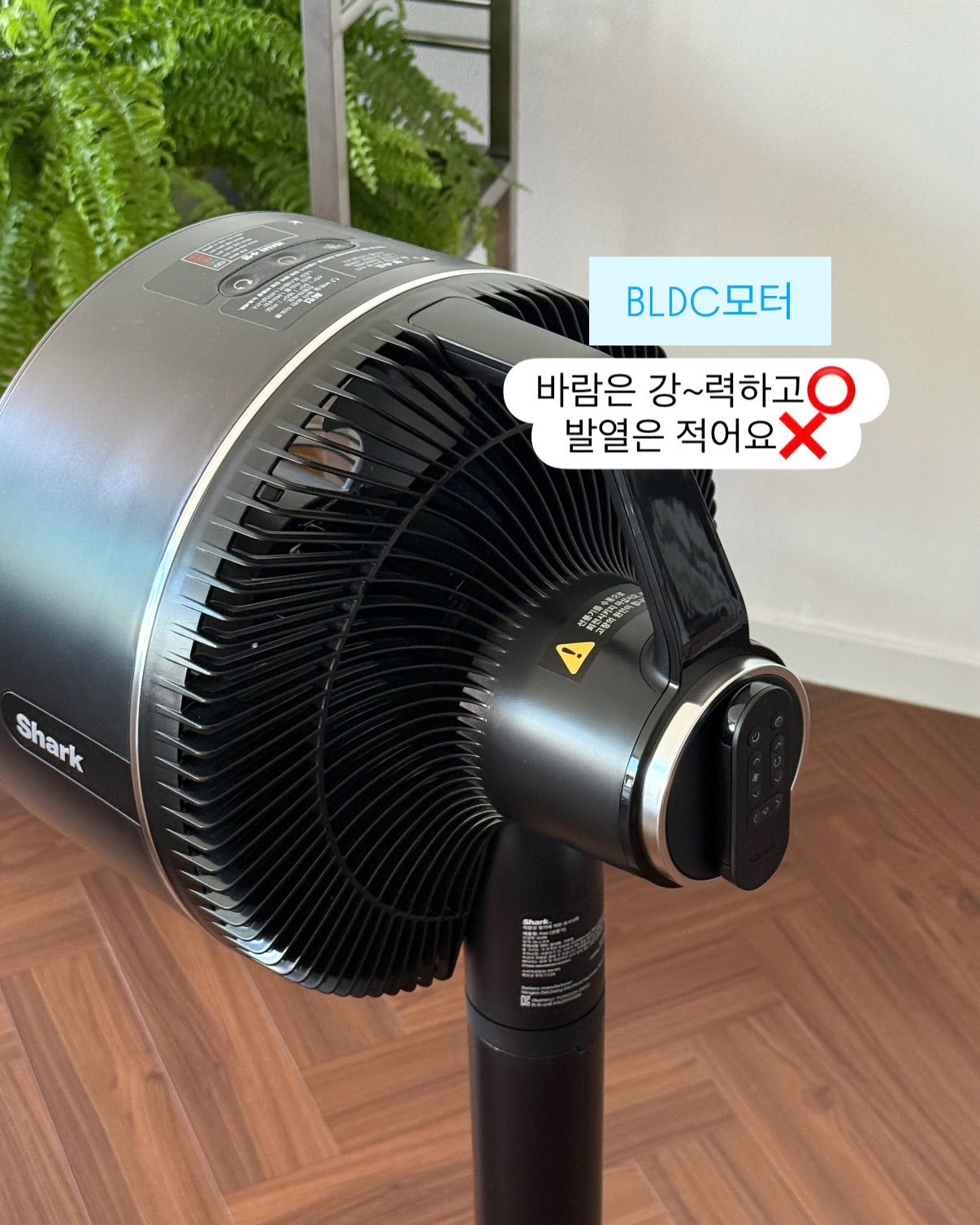 신기능 검사 RFT 6