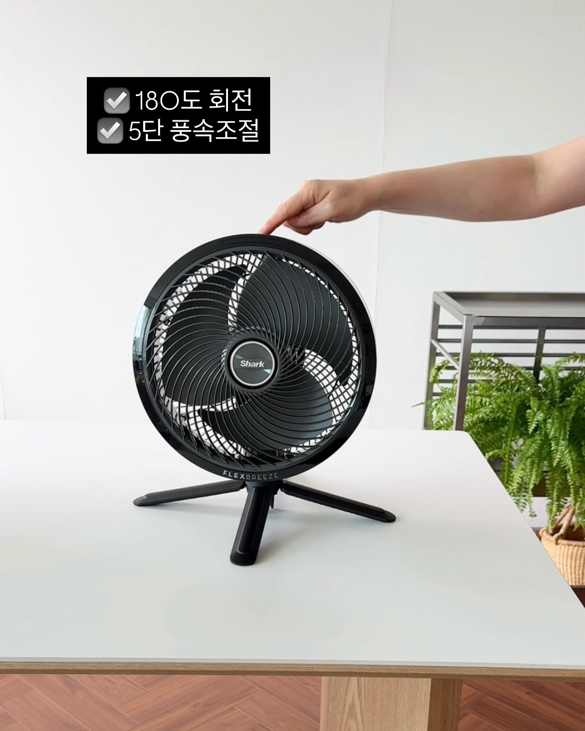 신기능 검사 RFT 7