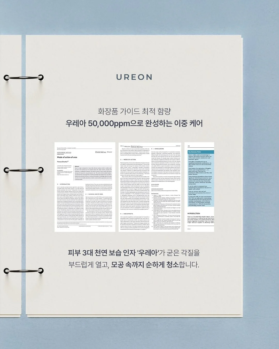 빅 에코백 2