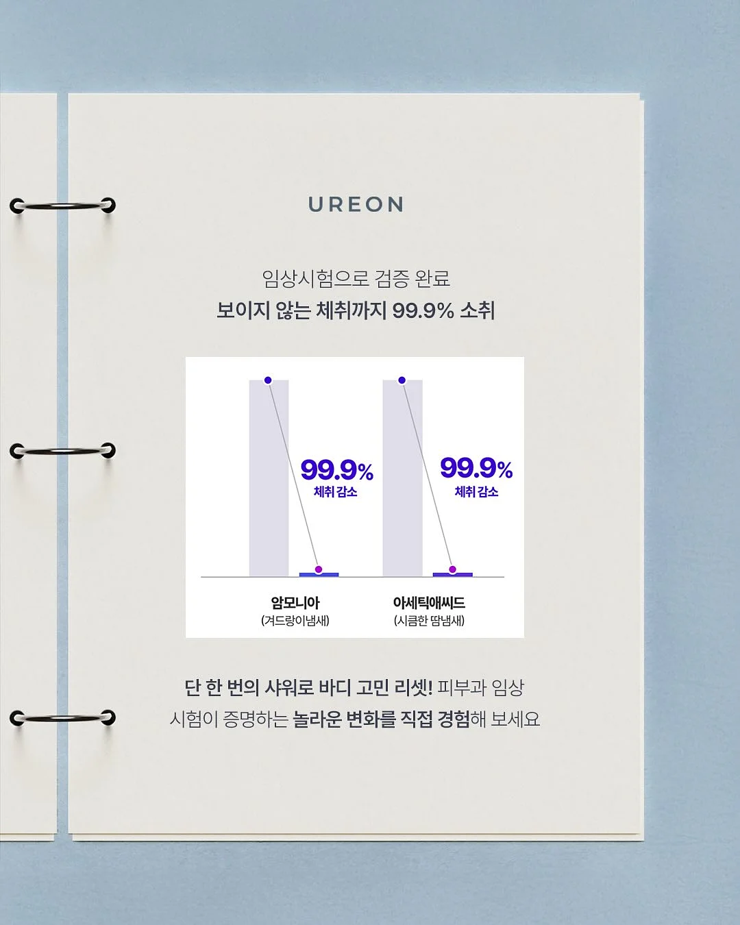 빅 에코백 4