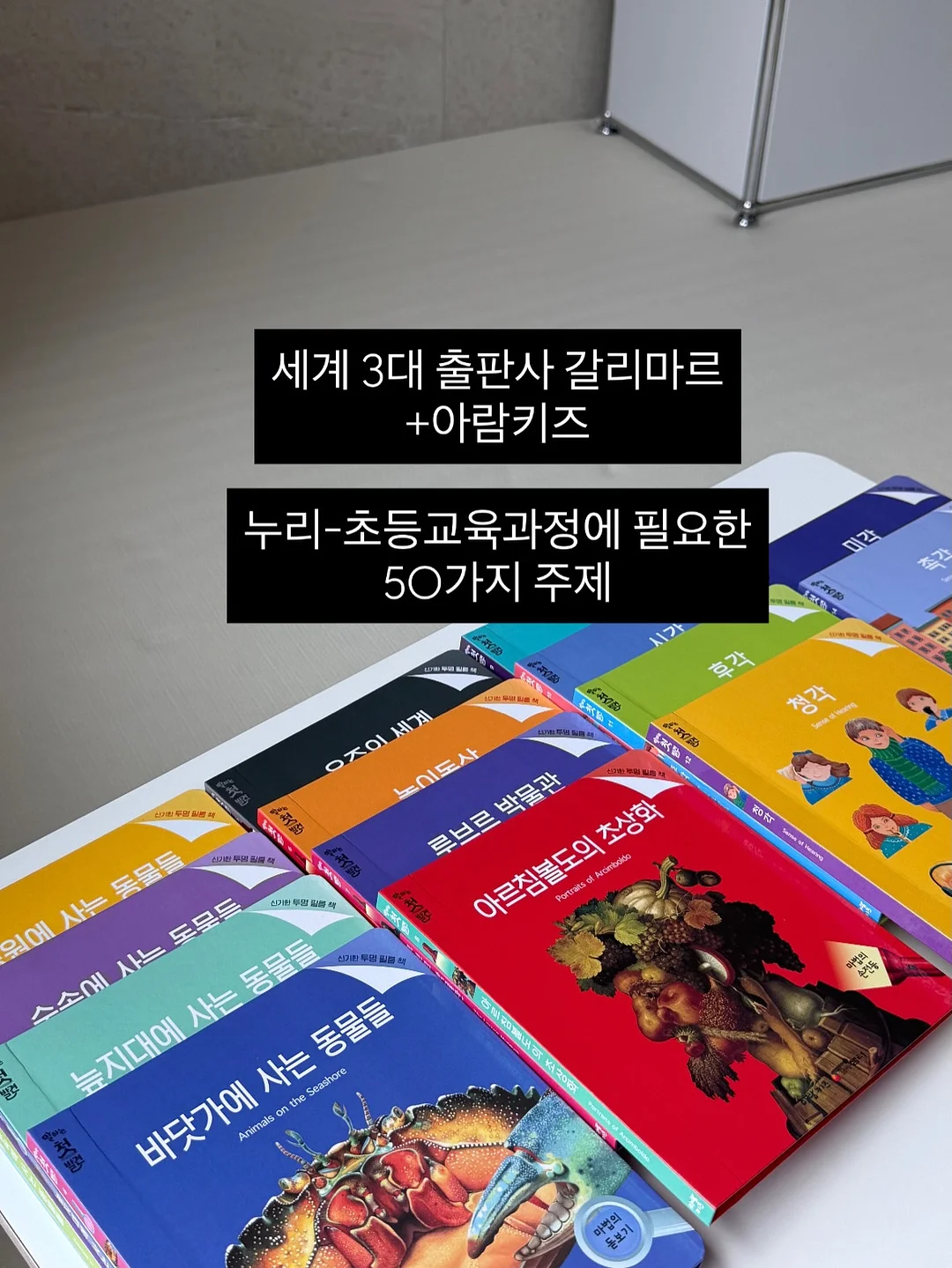 봄날의 햇살 케이크 4