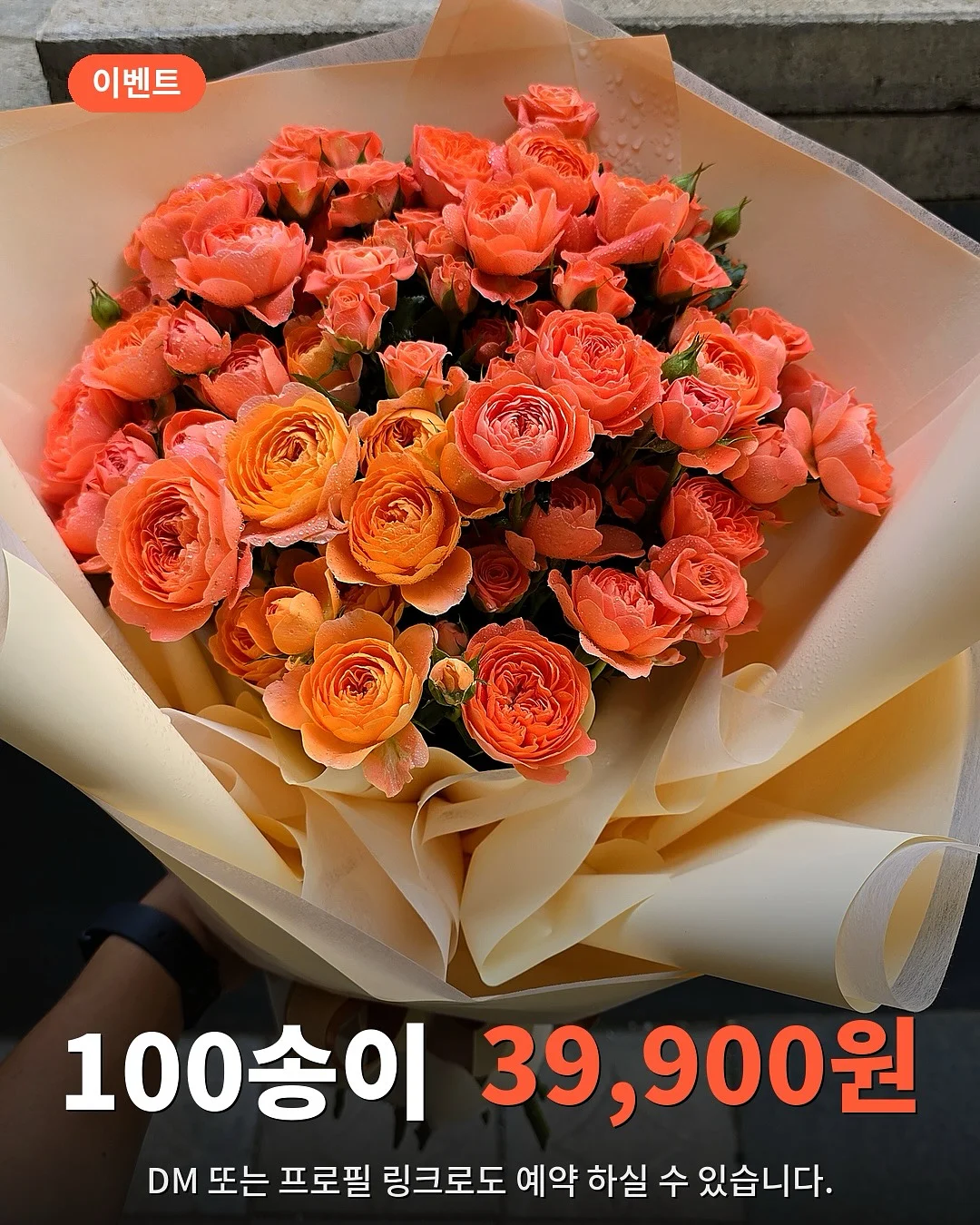 두피문신 1