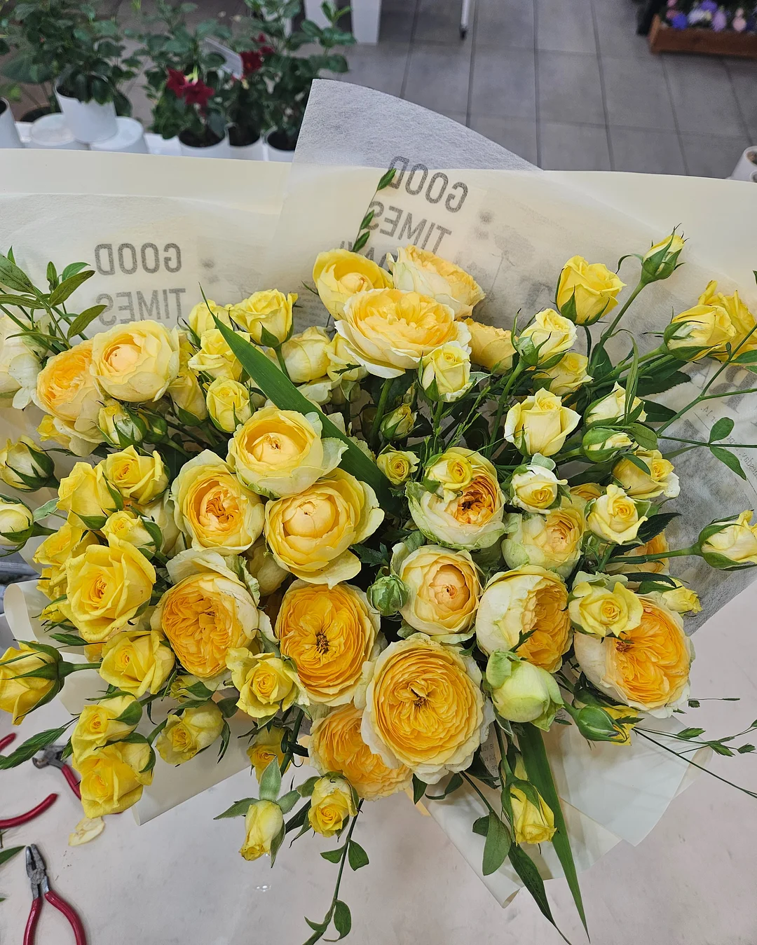 두피문신 7