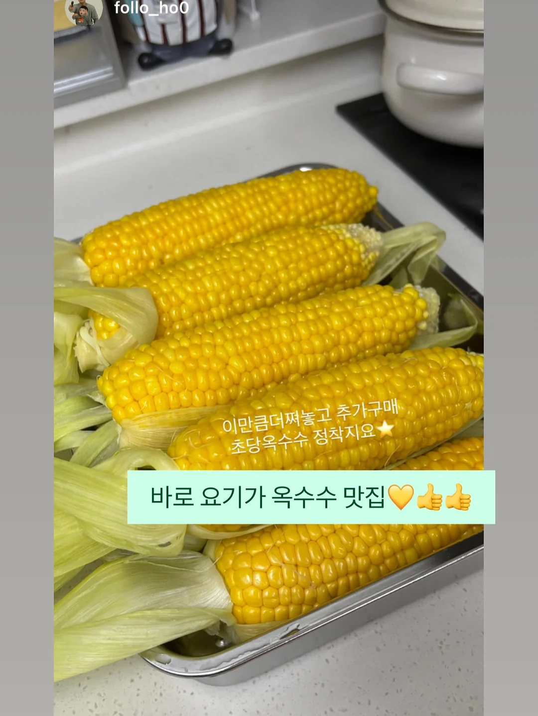 다이어트 강의 11