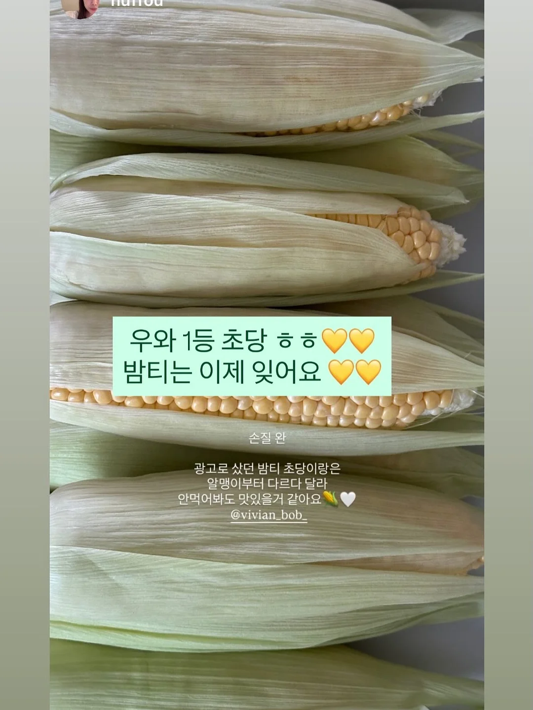 다이어트 강의 12